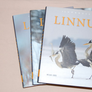 Linnut luonnossa 1-3